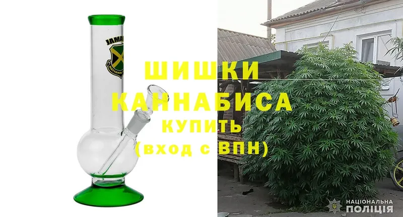 Бошки Шишки White Widow  где купить наркотик  ОМГ ОМГ ссылка  Котлас 